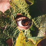 elias-maurer-gyfxcBcAtVE-unsplash